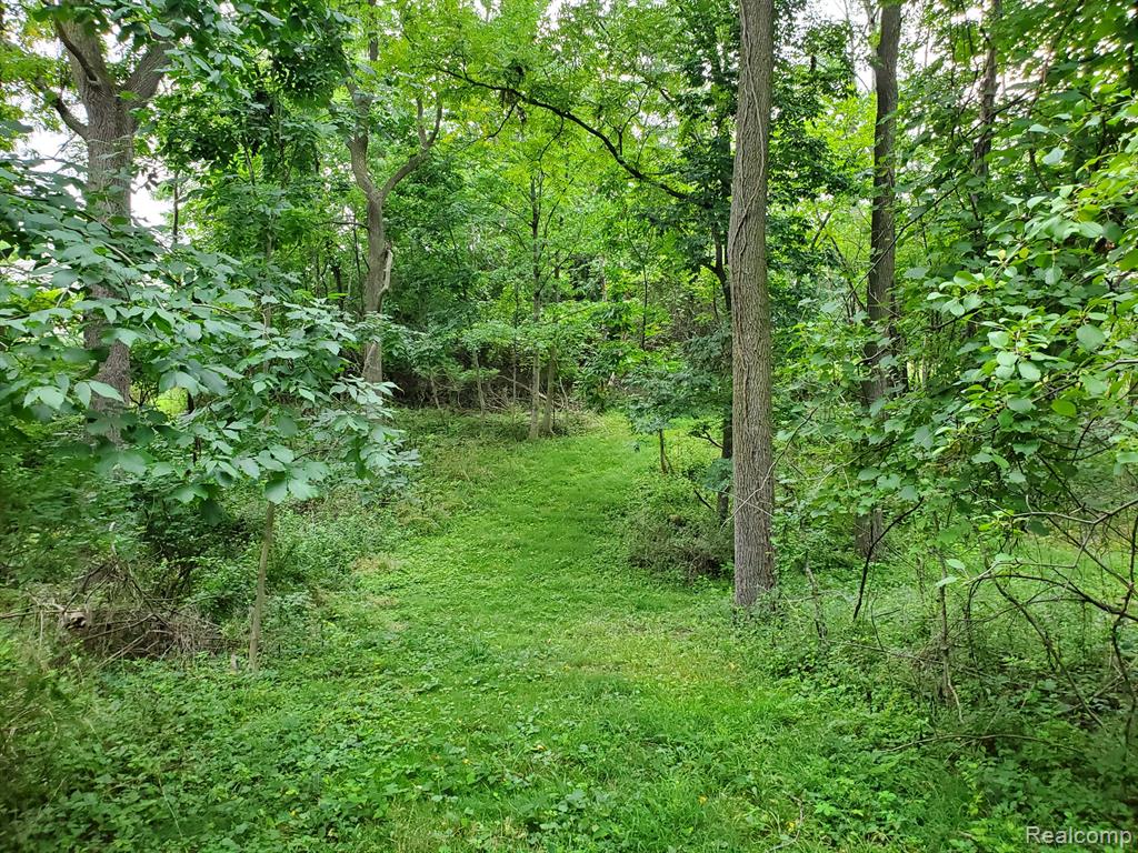 26289 Power Road Farmington Hills, MI 48334 - Photo 13 of 63