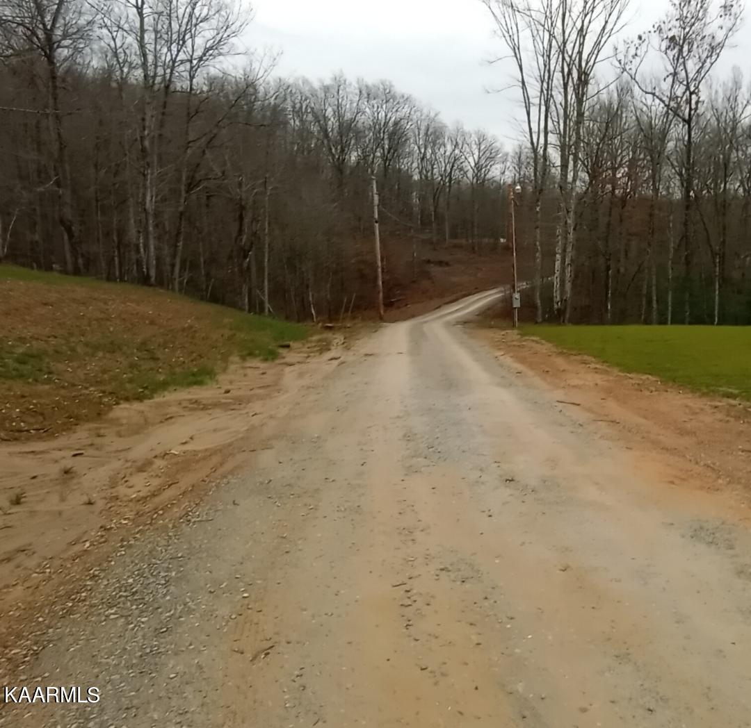 1088 Evelyn Road Huntsville, TN 37756 - Photo 13 of 18 thumbnail (9)