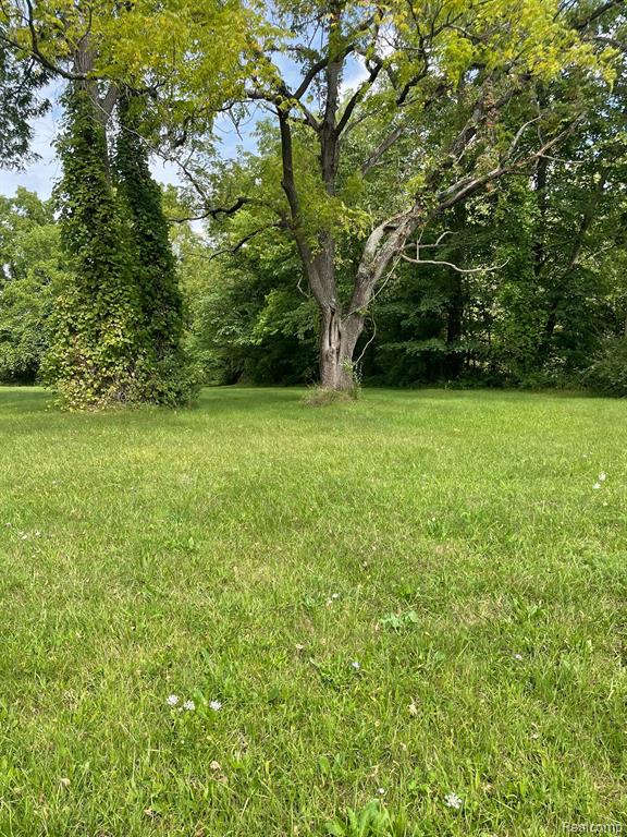 0 Savage Road Belleville, MI 48111 - Photo 3 of 5