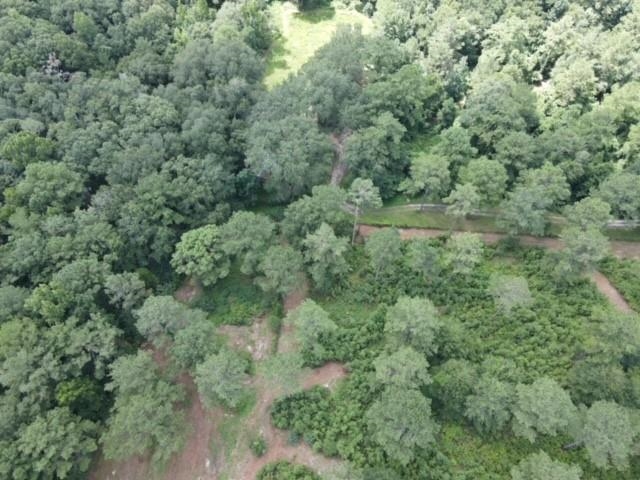 Lot 7 Pine Park Road Cairo, GA 39828 - Photo 11 of 14 Gallery Image 11