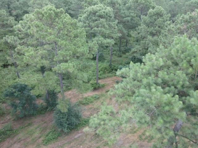 Lot 7 Pine Park Road Cairo, GA 39828 - Photo 6 of 14 Gallery Image 6