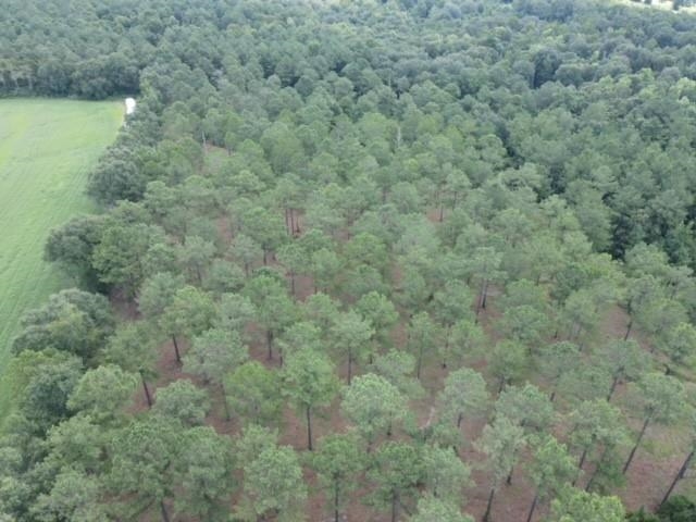 Lot 7 Pine Park Road Cairo, GA 39828 - Photo 8 of 14 Gallery Image 8