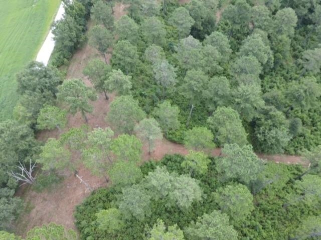 Lot 7 Pine Park Road Cairo, GA 39828 - Photo 10 of 14 Gallery Image 10