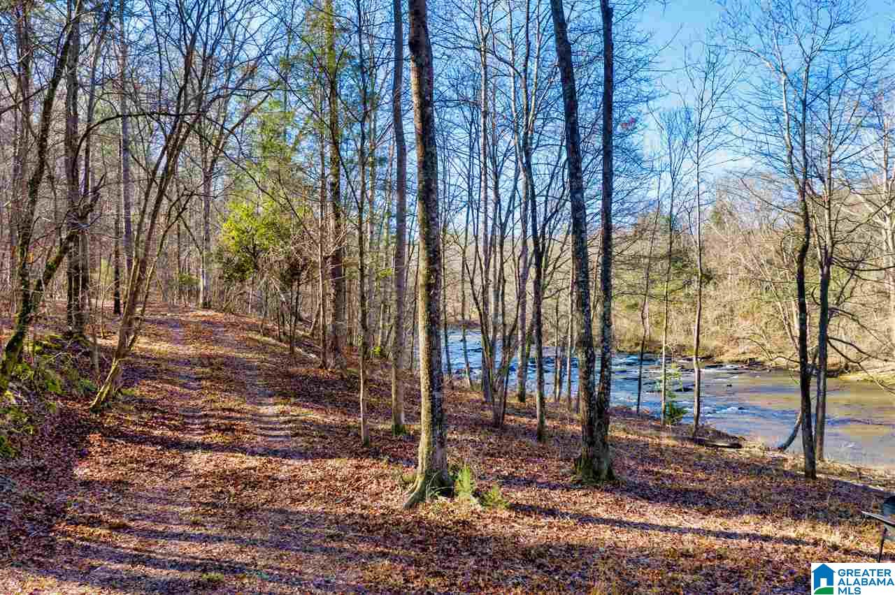 0 County Road 8, Unit 1 Clanton, AL 35045 - Photo 12 of 30