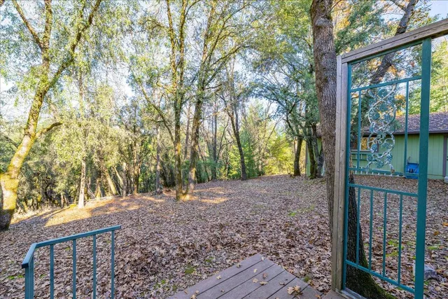 a view of a yard with plants and trees
