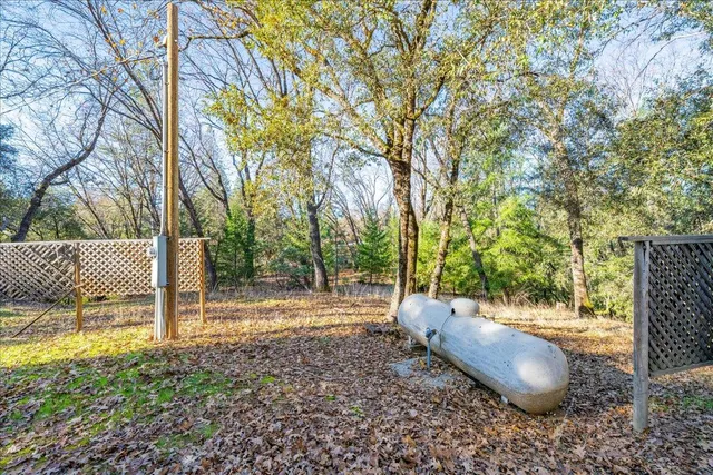 a view of a yard with plants and trees