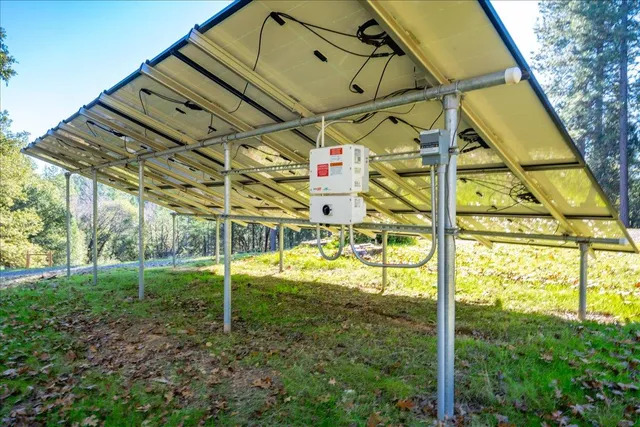 a view of a yard with plants and trees