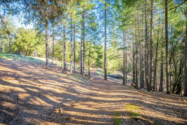 $389,000 | 870 Swanson Lane, Colfax, CA 95713