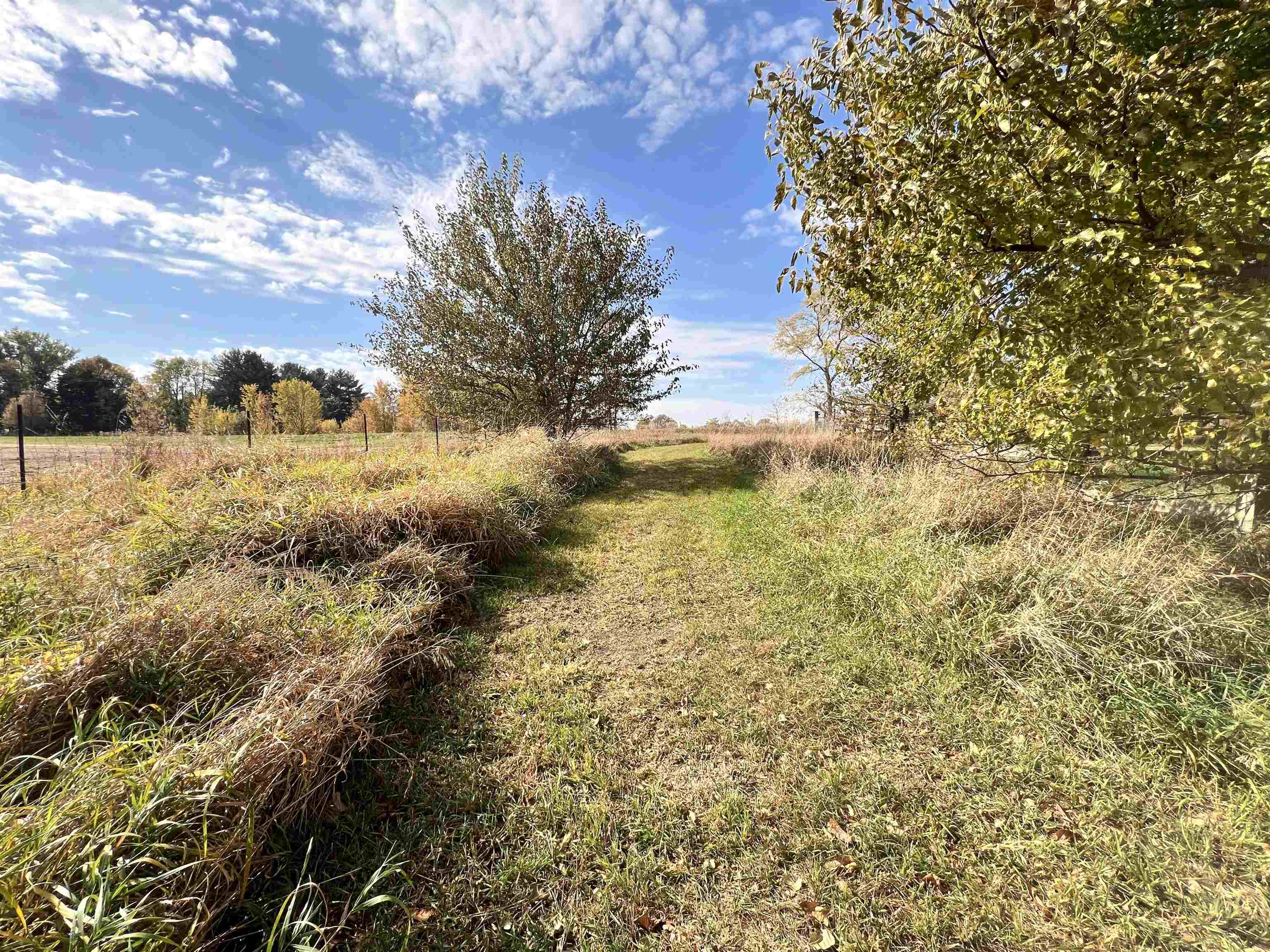 7918 Shirley Road Cherry Valley, IL 61016 - Photo 29 of 36 a view of a yard with plants and large trees