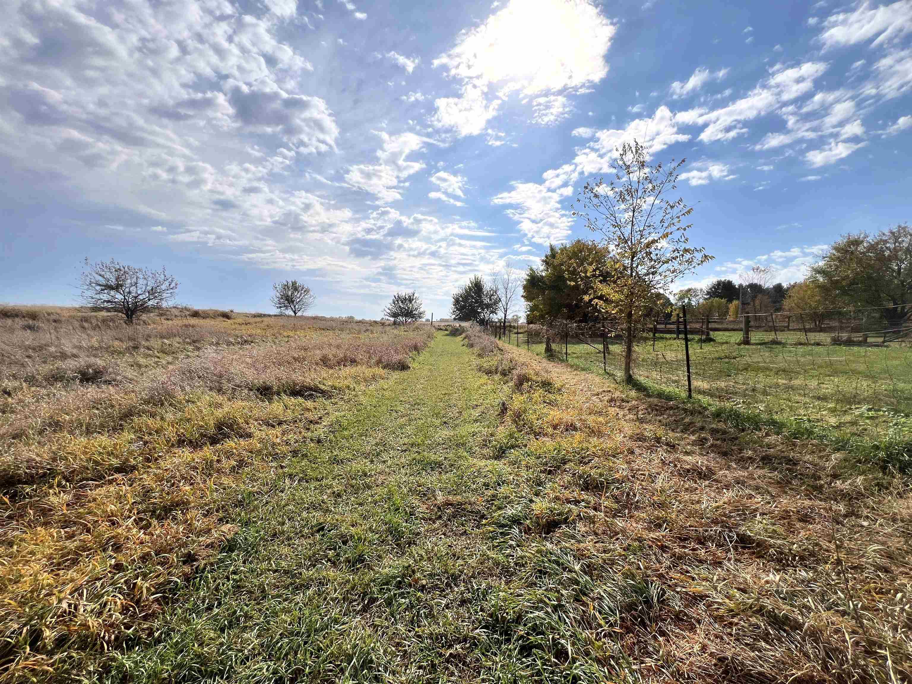 7918 Shirley Road Cherry Valley, IL 61016 - Photo 32 of 36 a view of a big yard with lots of green space