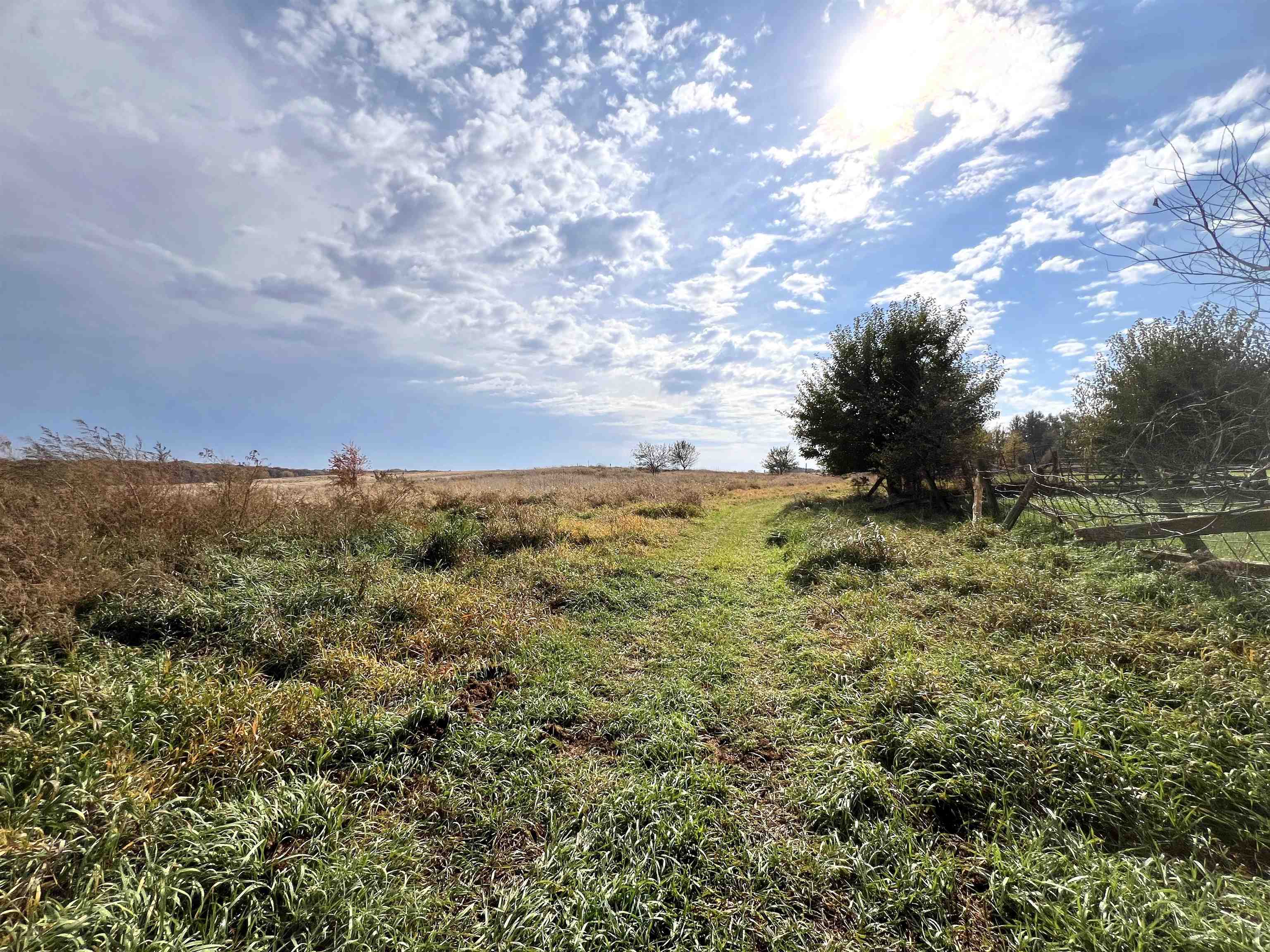 7918 Shirley Road Cherry Valley, IL 61016 - Photo 34 of 36 a view of a green field with lots of bushes