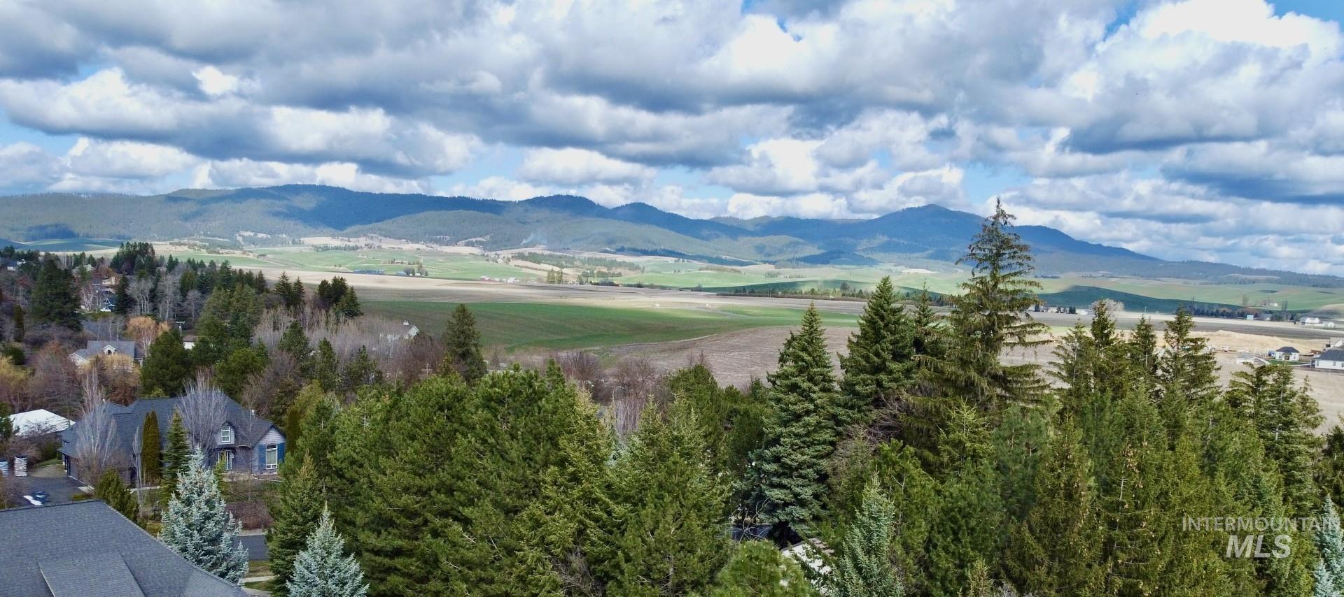 1321 Lande Lane Moscow, ID 83843 - Photo 48 of 49