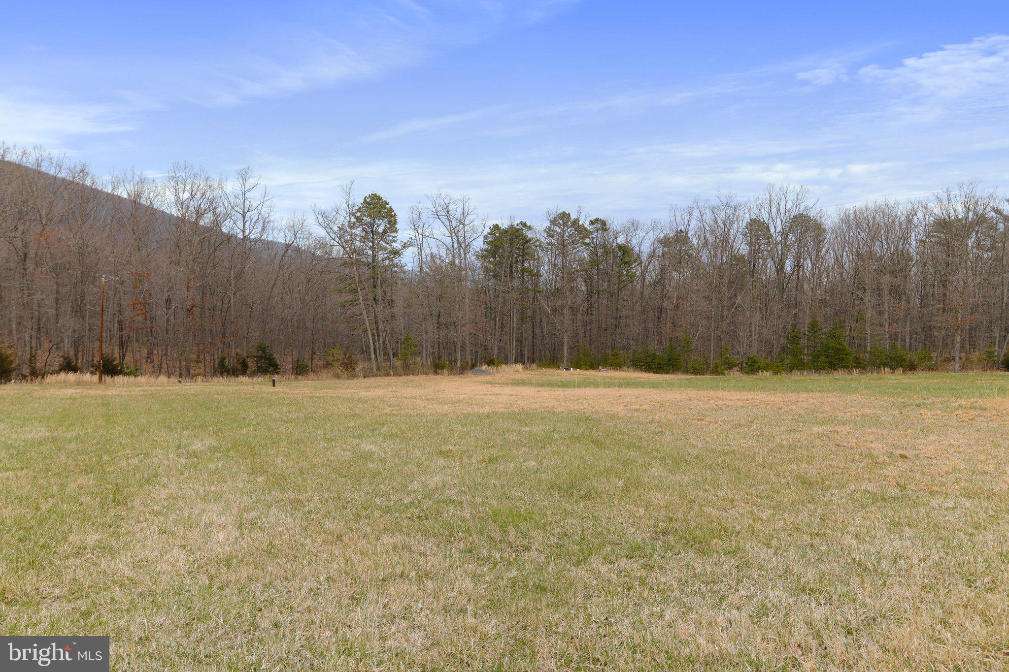 Tbd Tbd Woodstock Tower Road Fort Valley, VA 22652 - Photo 11 of 27