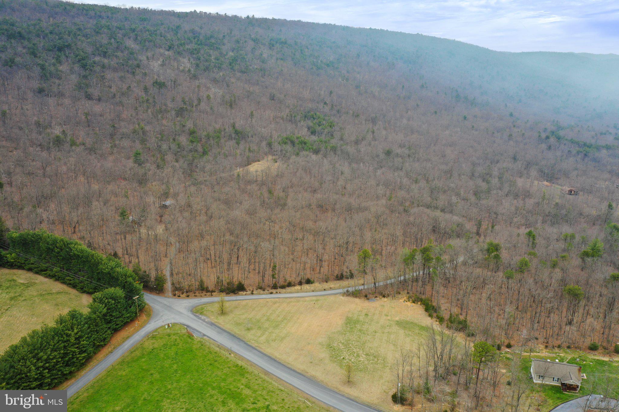 Tbd Tbd Woodstock Tower Road Fort Valley, VA 22652 - Photo 13 of 27