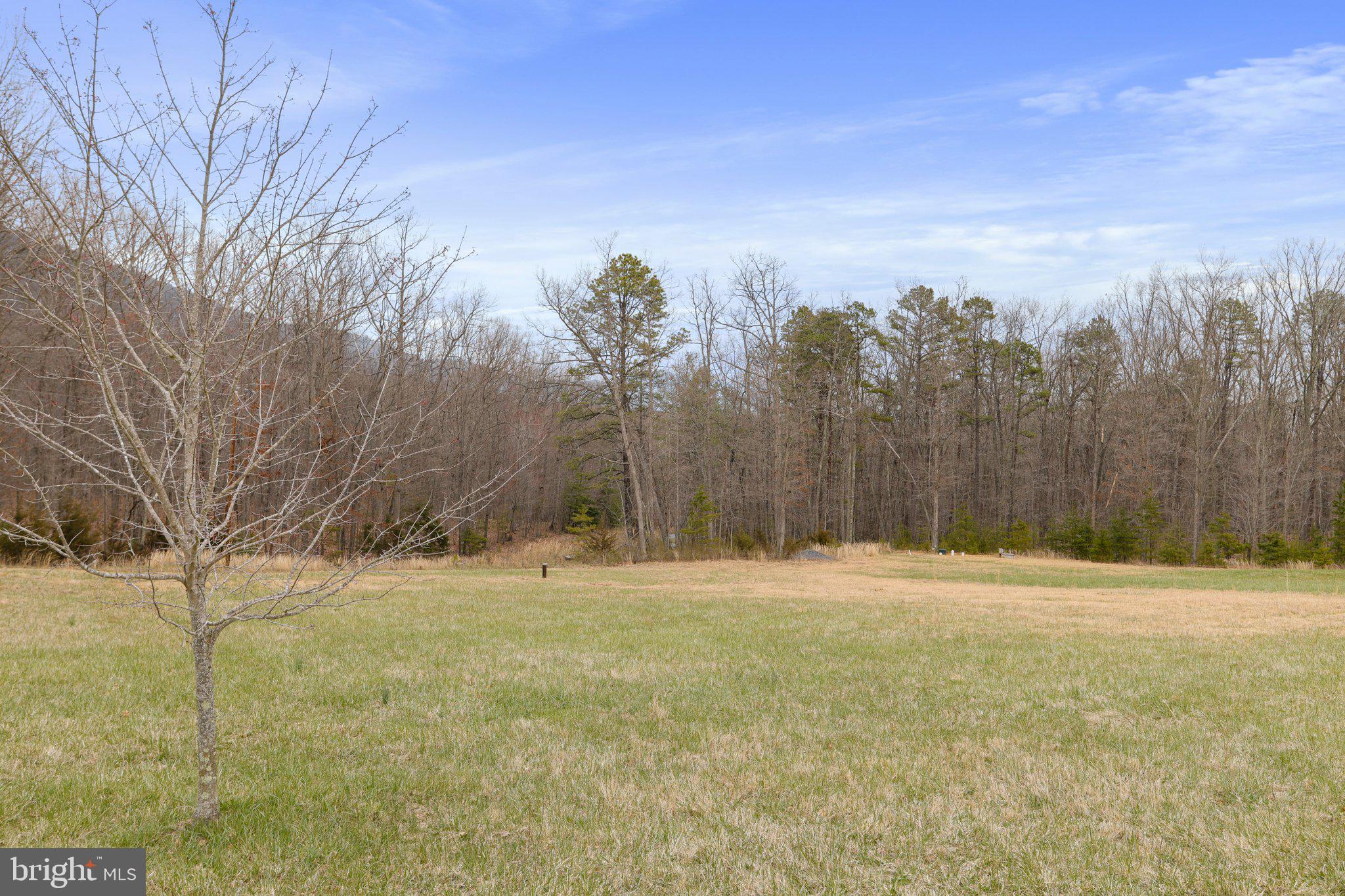 Tbd Tbd Woodstock Tower Road Fort Valley, VA 22652 - Photo 2 of 27