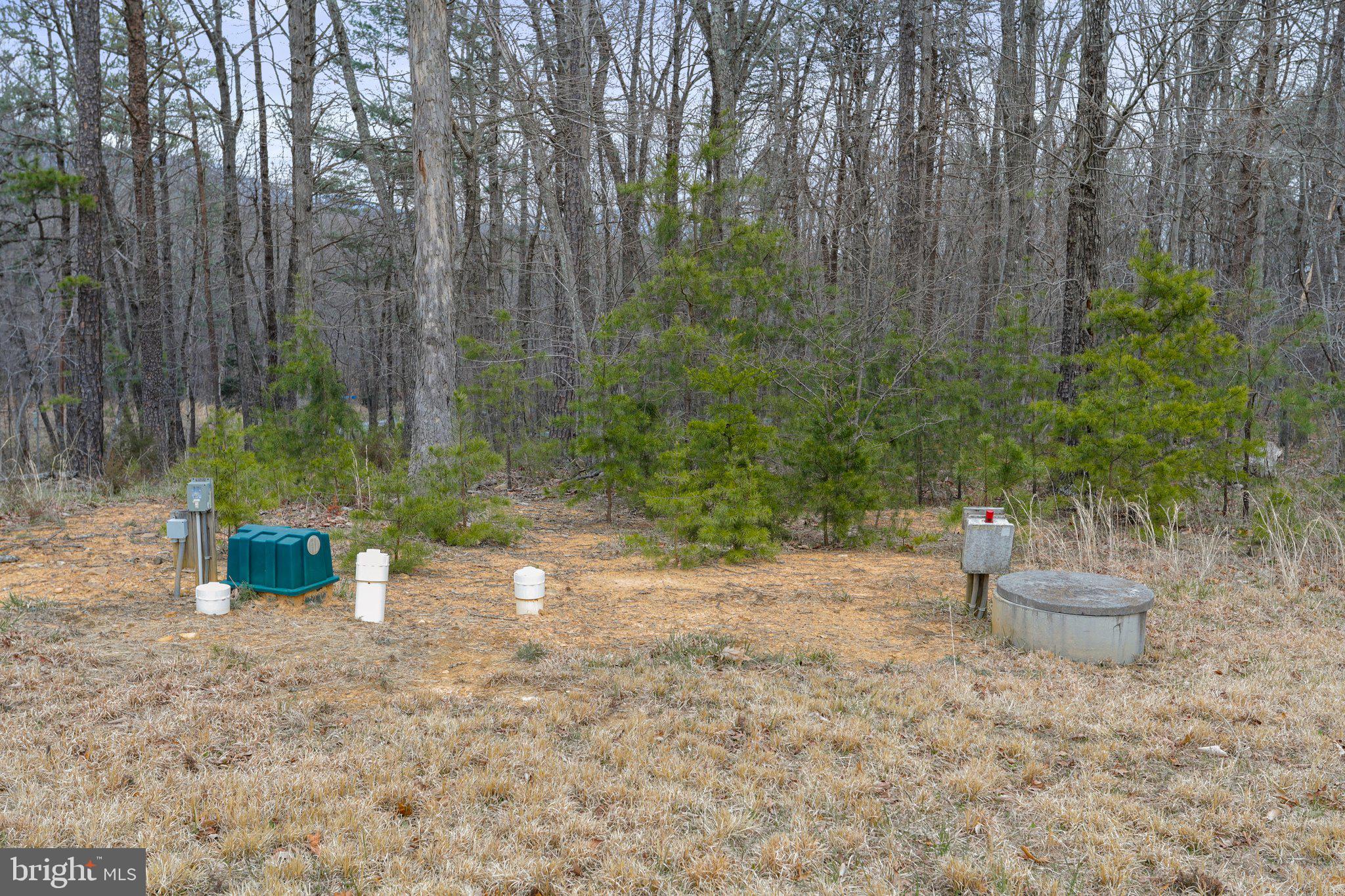 Tbd Tbd Woodstock Tower Road Fort Valley, VA 22652 - Photo 3 of 27