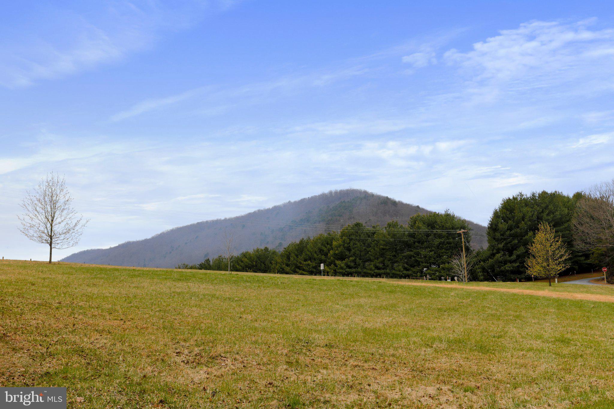 Tbd Tbd Woodstock Tower Road Fort Valley, VA 22652 - Photo 4 of 27