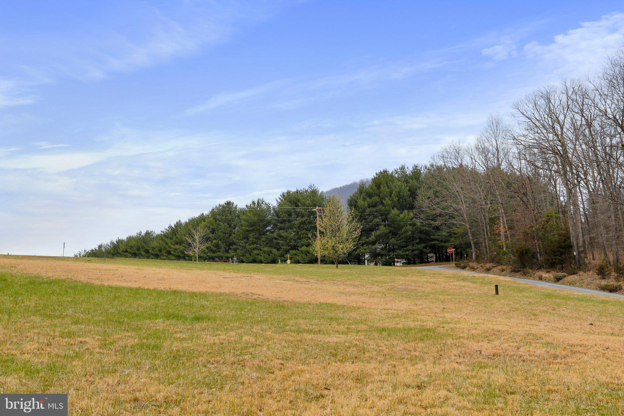 Tbd Tbd Woodstock Tower Road Fort Valley, VA 22652 - Photo 5 of 27