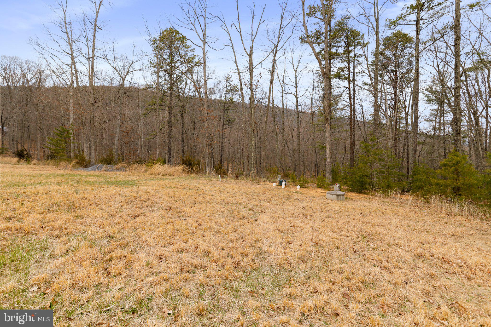 Tbd Tbd Woodstock Tower Road Fort Valley, VA 22652 - Photo 6 of 27