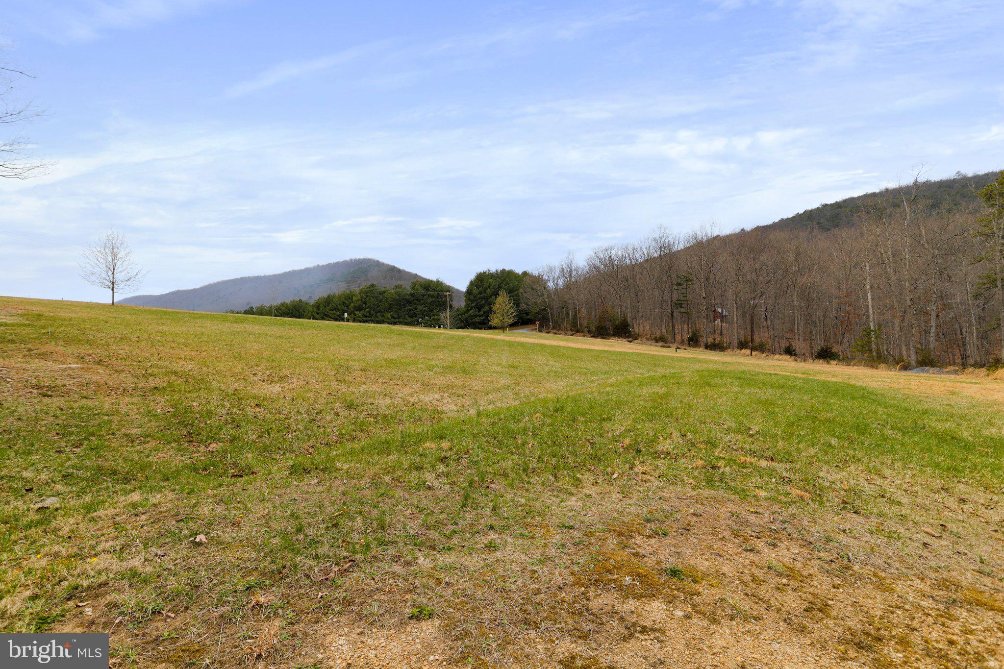 Tbd Tbd Woodstock Tower Road Fort Valley, VA 22652 - Photo 7 of 27