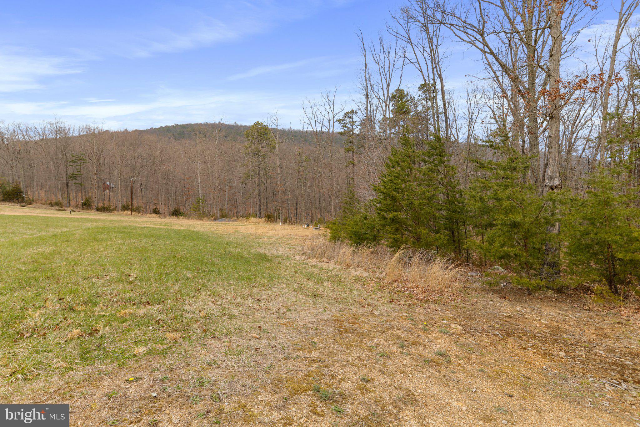 Tbd Tbd Woodstock Tower Road Fort Valley, VA 22652 - Photo 8 of 27