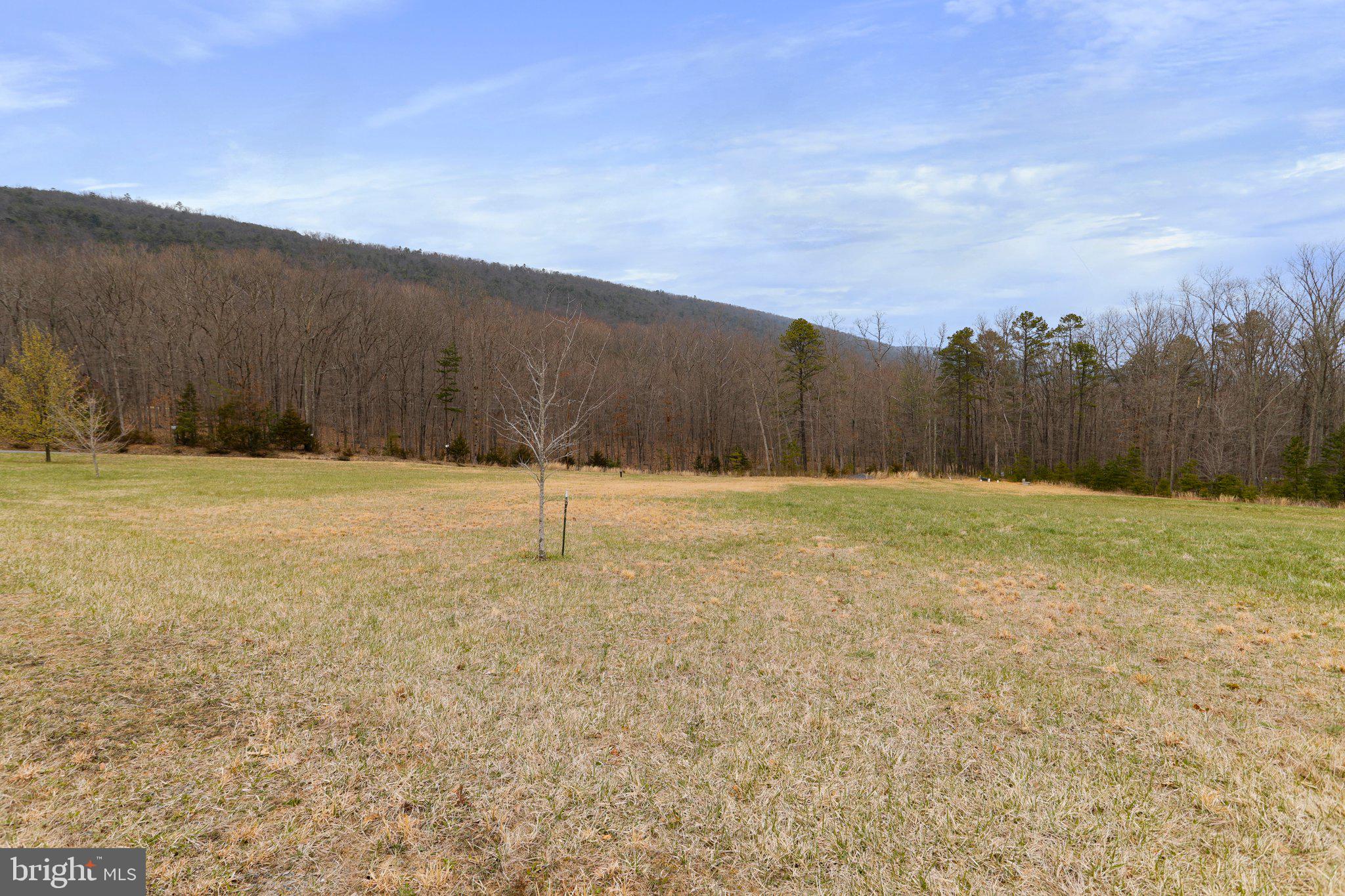 Tbd Tbd Woodstock Tower Road Fort Valley, VA 22652 - Photo 10 of 27