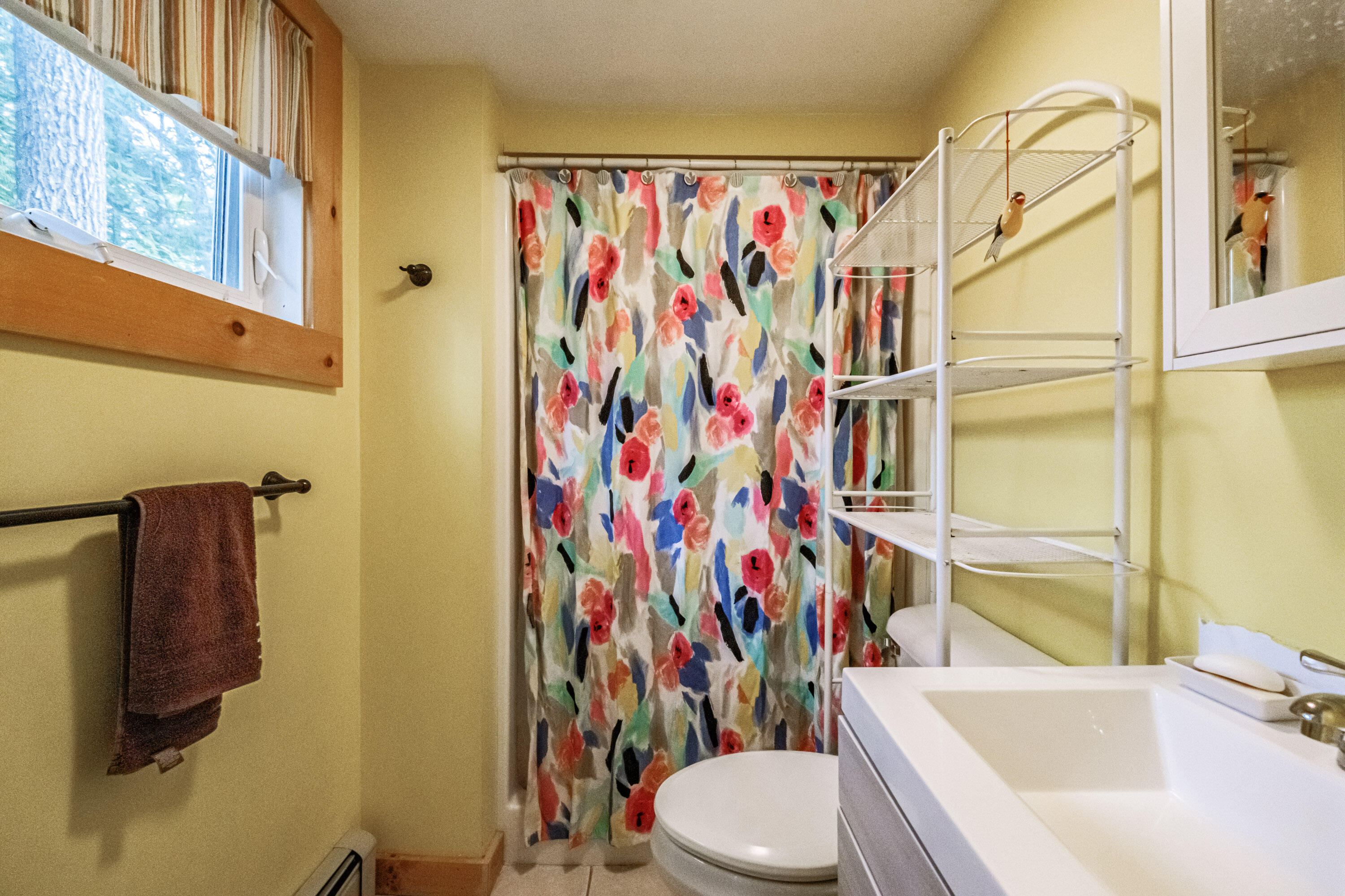 30 Alpine Road Bridgton, ME 04009 - Photo 15 of 35 20250710gp-67016