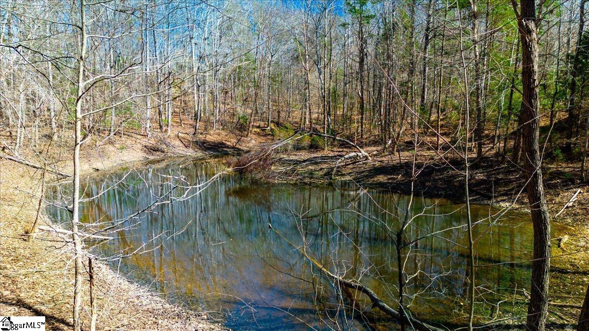 198 Wildwood Farm Road Gray Court, SC 29645 - Photo 33 of 33 Gallery Image 33