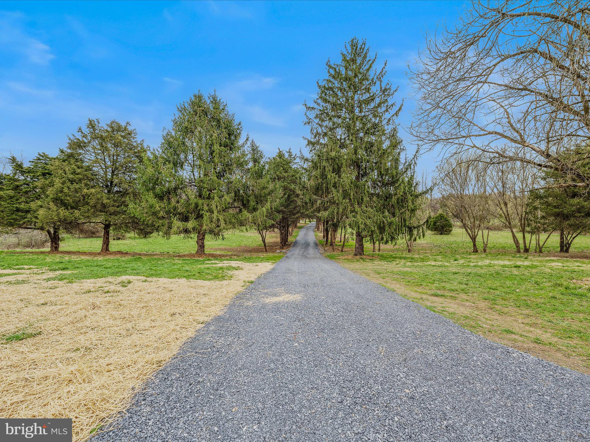 89 Morgan Grove Road Shepherdstown, WV 25443 - Photo 10 of 68 Driveway