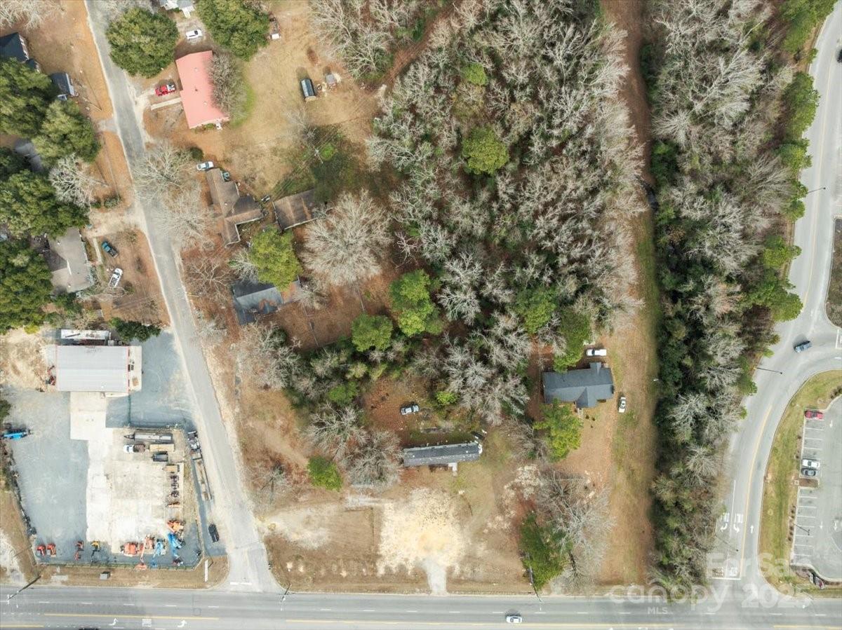 1048 Chesterfield Highway Cheraw, SC 29520 - Photo 5 of 11 a picture of a tree