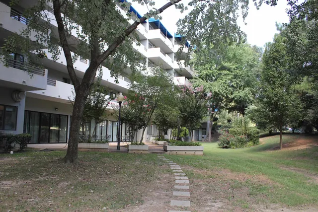 a view of a park with tree s