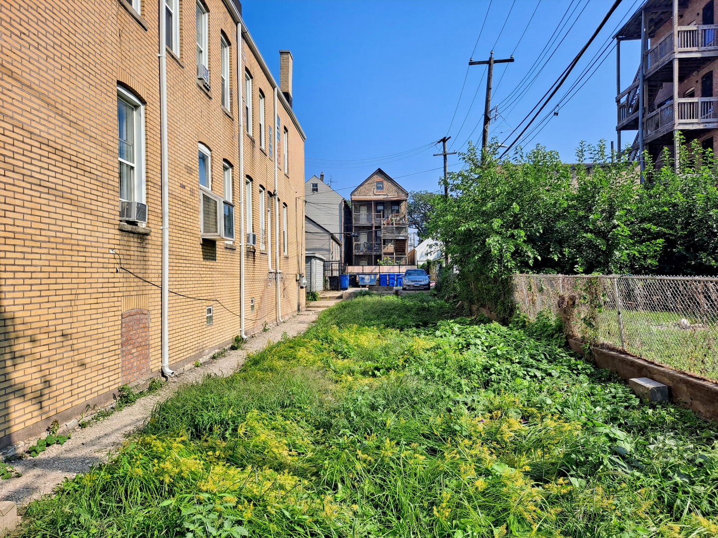 1012 West 32nd Place Chicago, IL 60608 - Photo 2 of 4 a view of a garden with a small yard