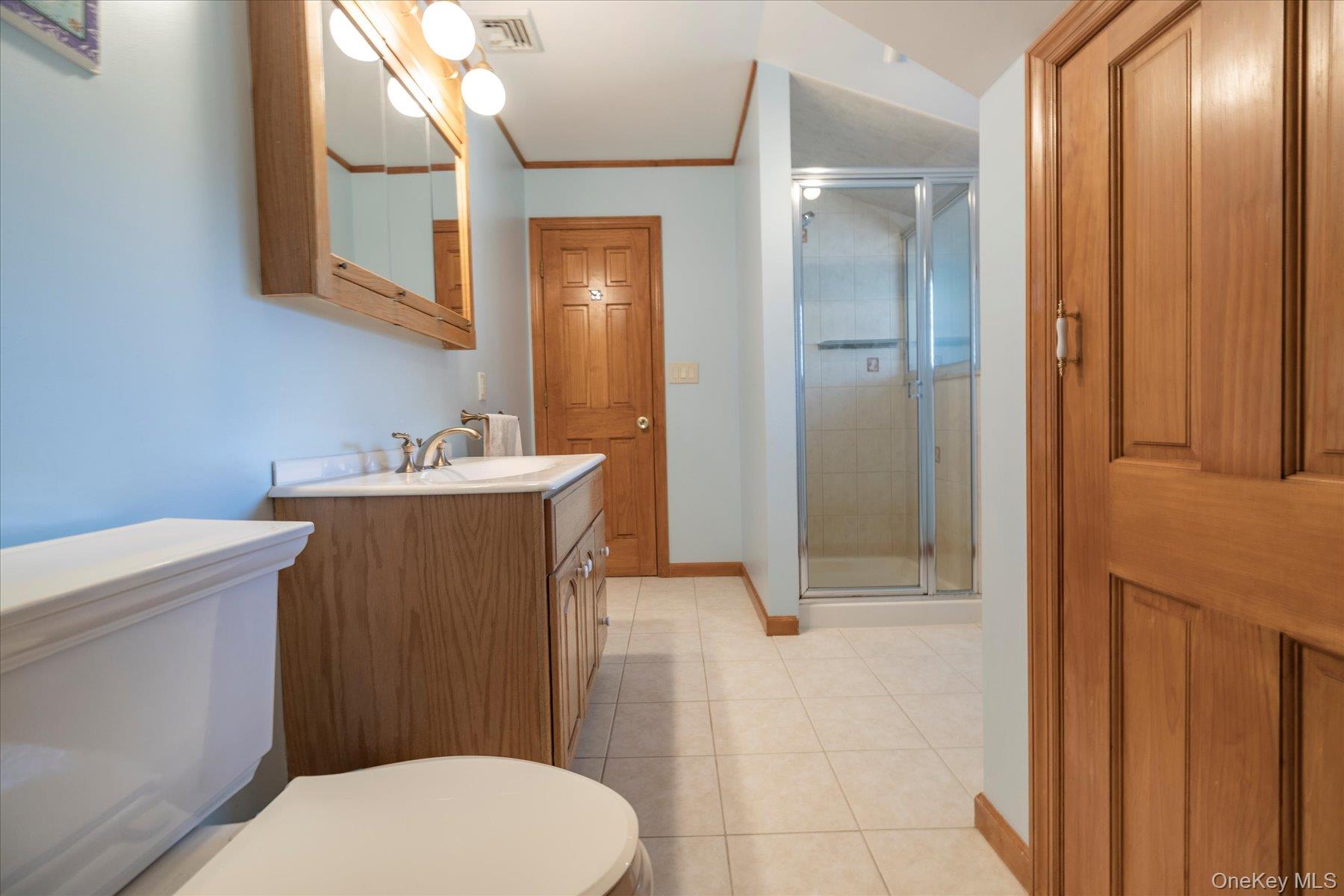 15 Baylis Road Rockville Centre, NY 11570 - Photo 12 of 20 a bathroom with a sink a toilet a mirror and shower