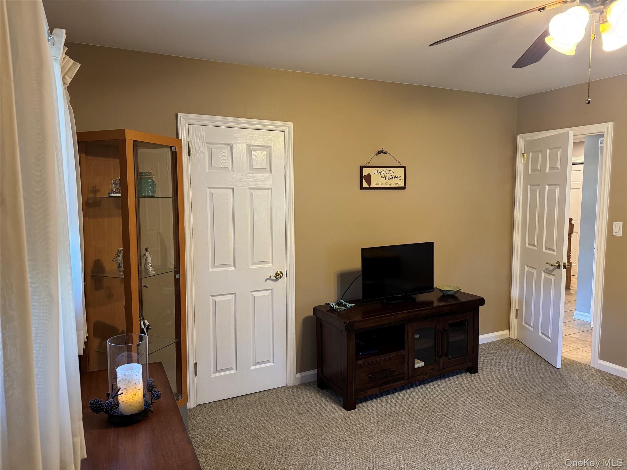 15 Baylis Road Rockville Centre, NY 11570 - Photo 10 of 20 a living room with furniture and a flat screen tv