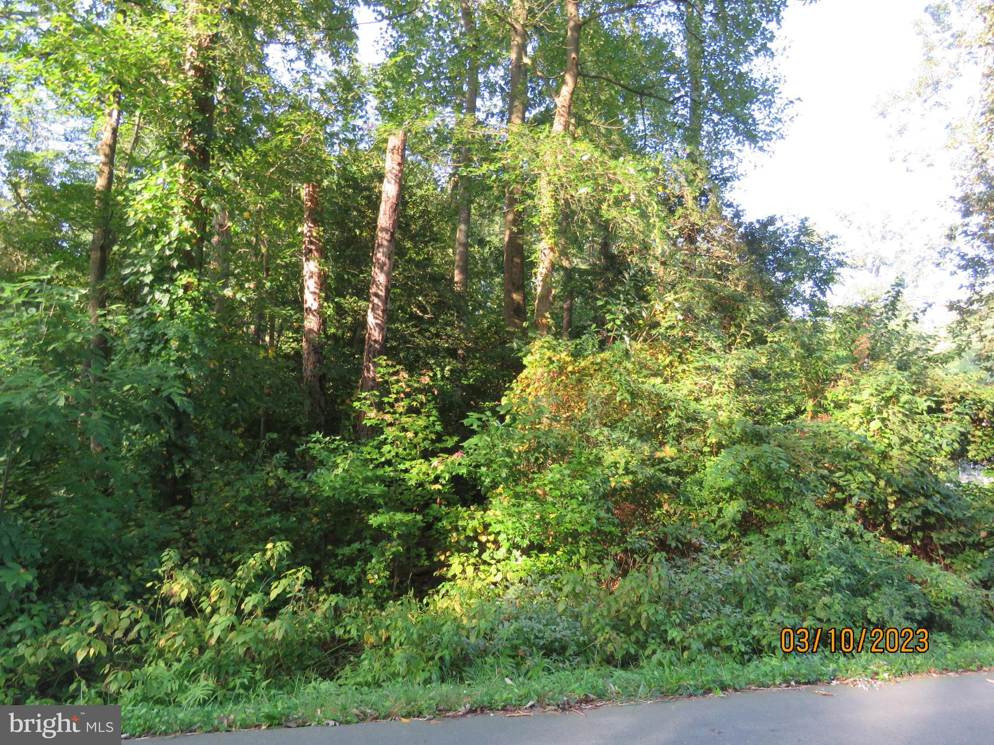 Lot 38 Simms Woods Road Dover, DE 19901 - Photo 2 of 2 Gallery Image 2