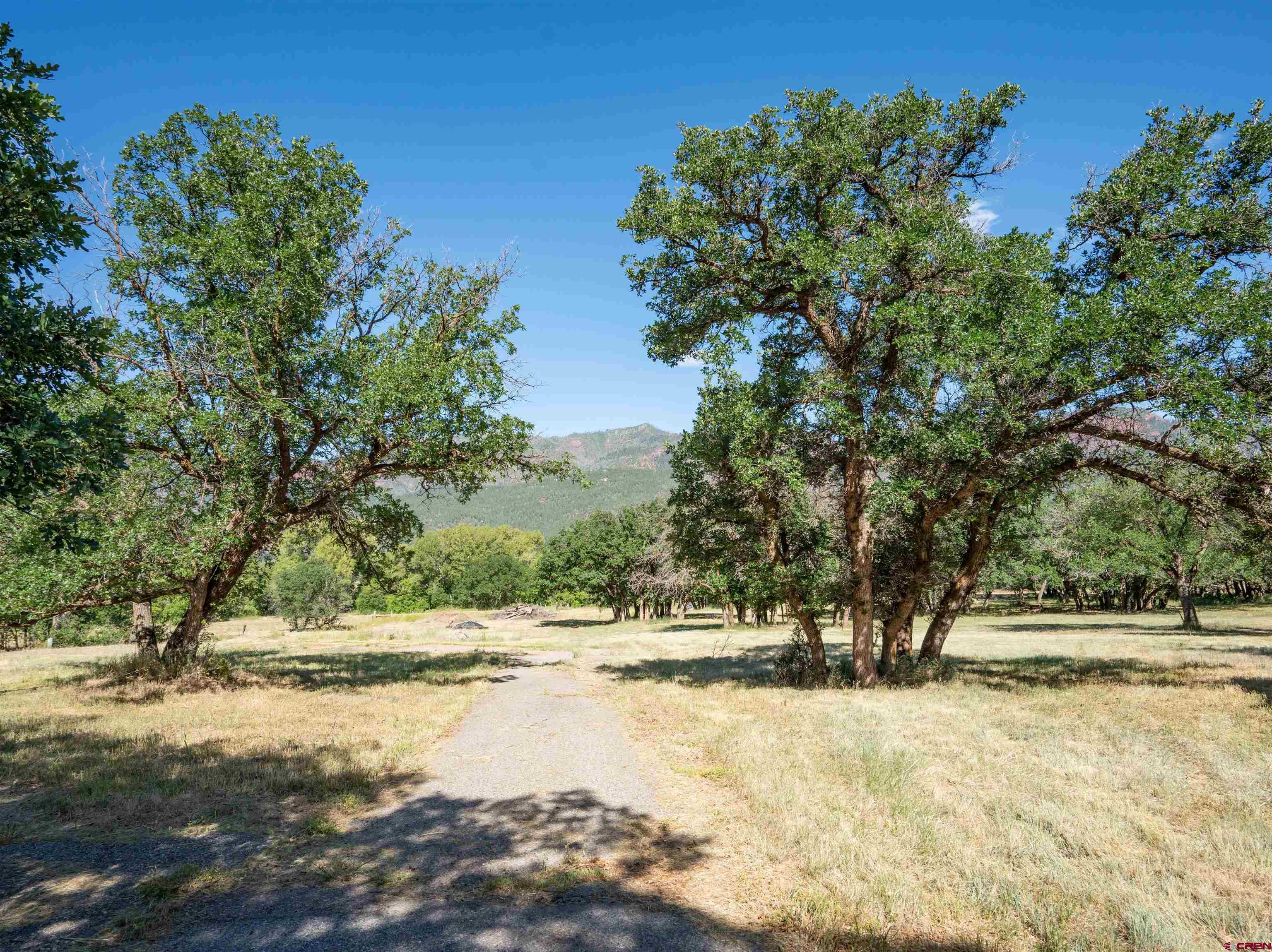 7645 County Road 250 Durango, CO 81301 - Photo 11 of 26