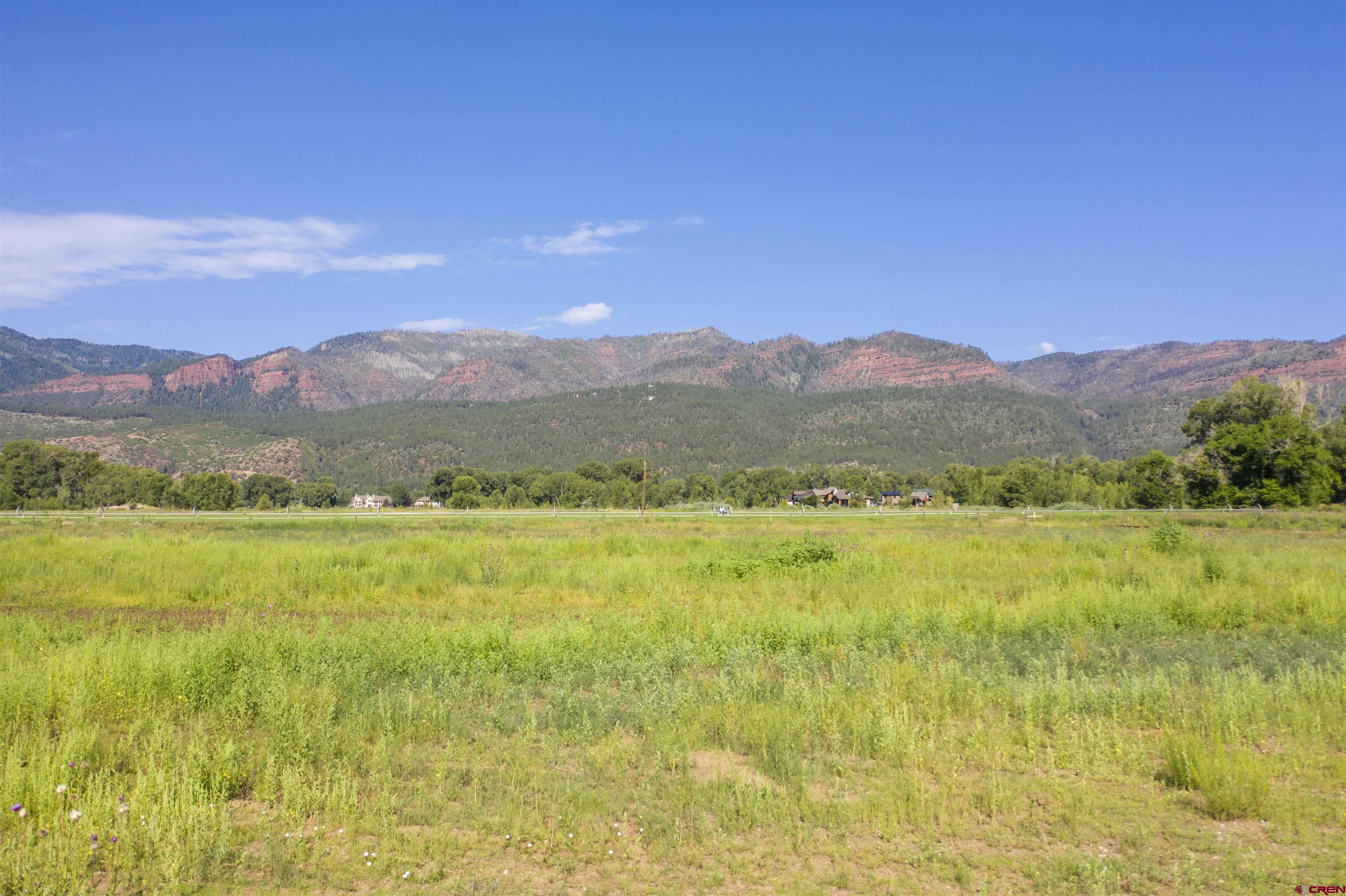 7645 County Road 250 Durango, CO 81301 - Photo 23 of 26