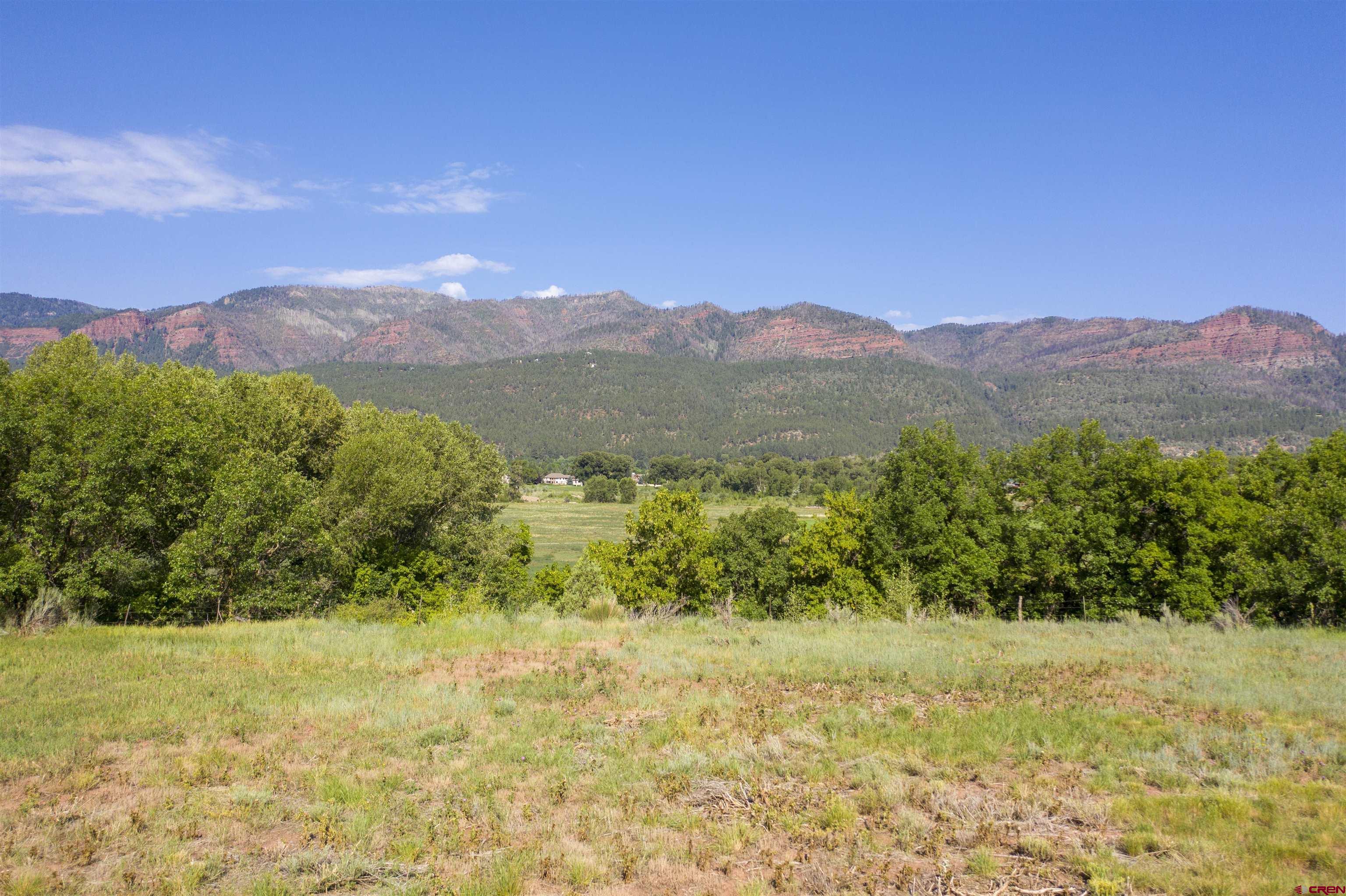 7645 County Road 250 Durango, CO 81301 - Photo 25 of 26