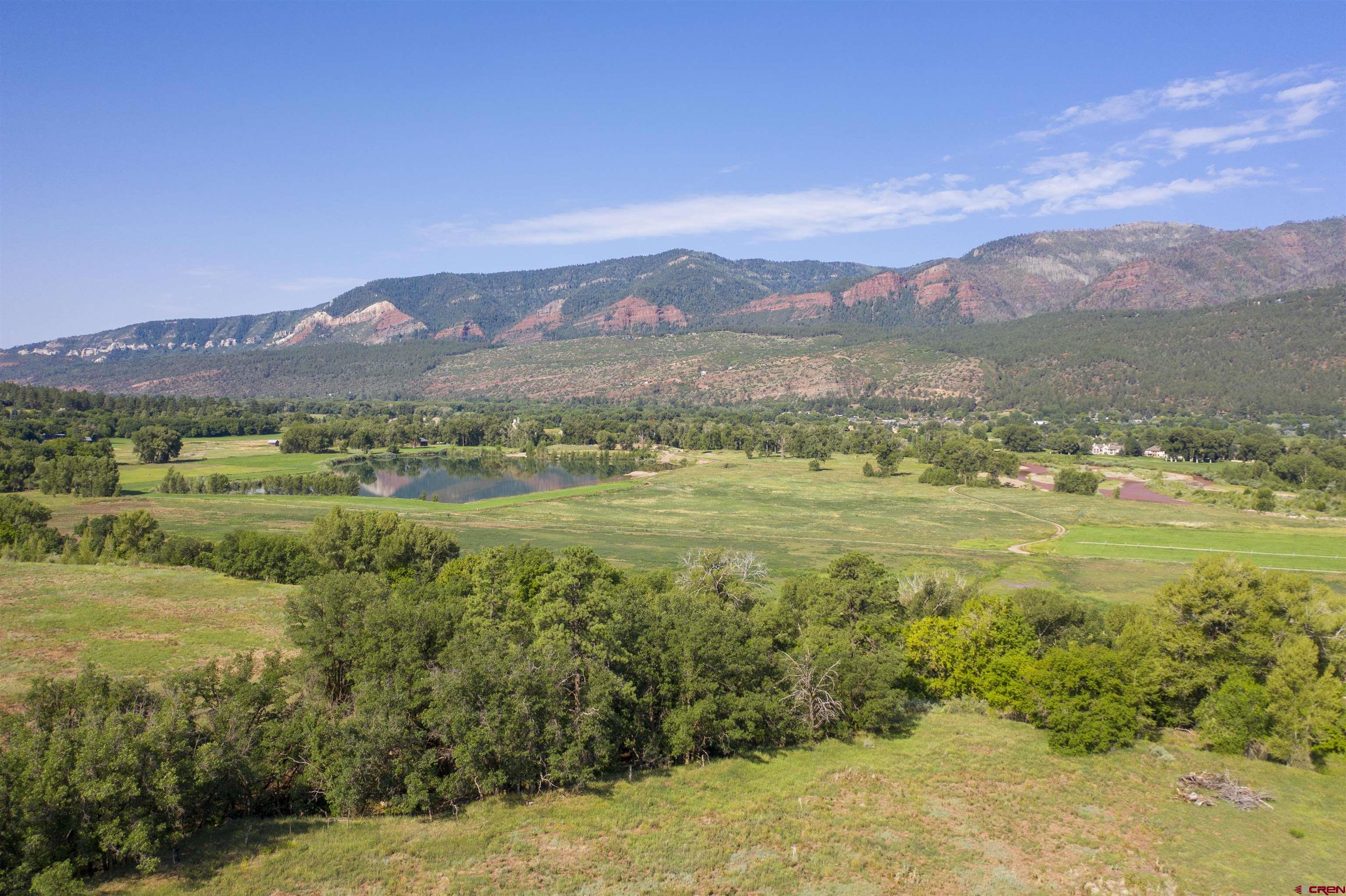 7645 County Road 250 Durango, CO 81301 - Photo 6 of 26