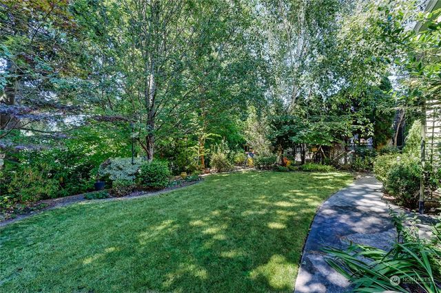 a view of a backyard with plants and large trees
