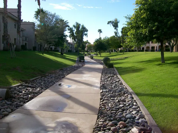 a view of a park with large trees