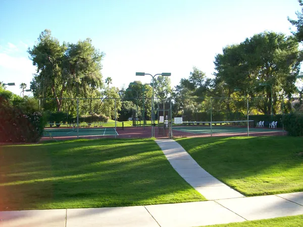 a view of a park with large trees