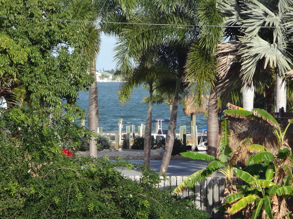 53 Barry Avenue Summerland Key, FL 33042 - Photo 2 of 22 a view of a yard in front of house