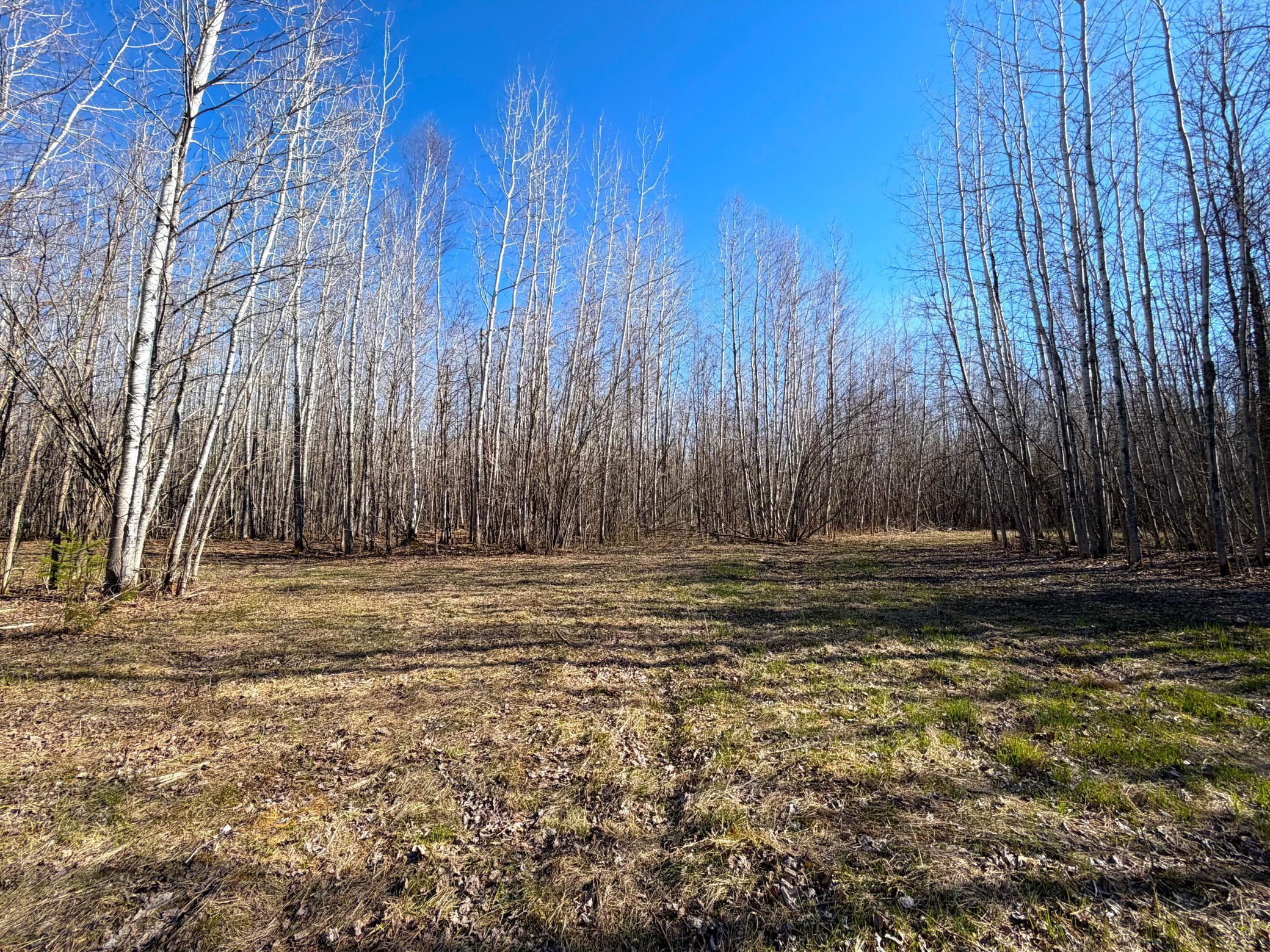 Lot F County Road 79 Littlefork, MN 56653 - Photo 17 of 44