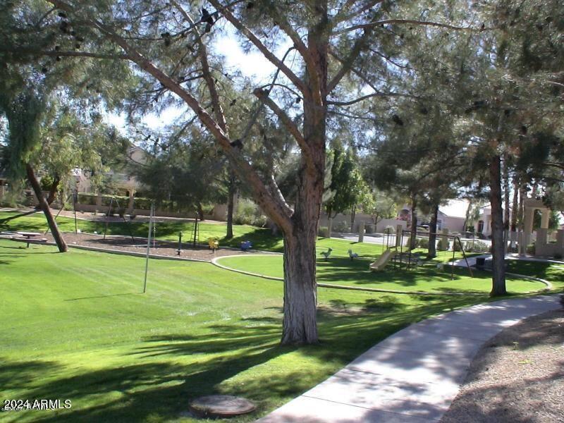 163 West El Freda Road Tempe, AZ 85284 - Photo 12 of 35 20171210192507901027000000-o