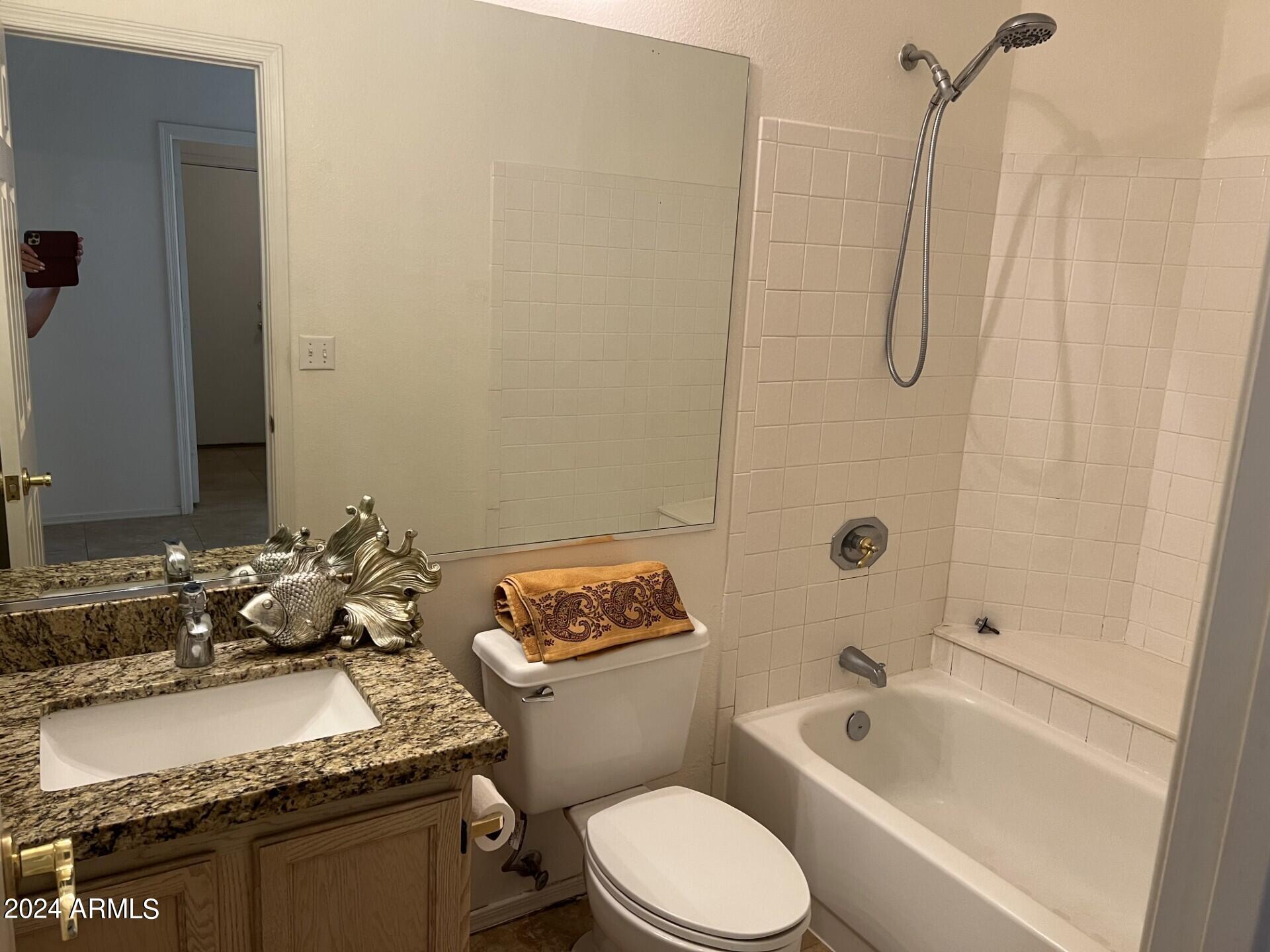 163 West El Freda Road Tempe, AZ 85284 - Photo 24 of 35 thumbnail_IMG_9001