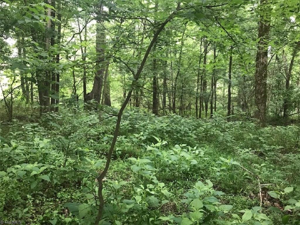 Lot 5 Mebane Oaks Road Mebane, NC 27302 - Photo 1 of 9 Gallery Image 1