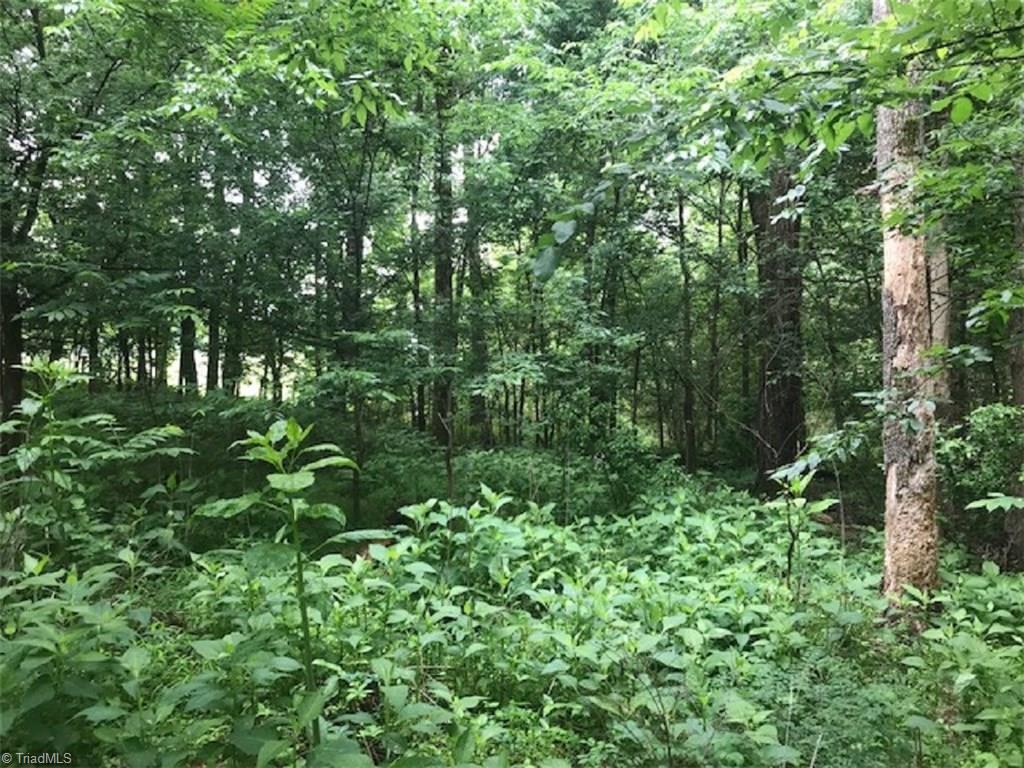 Lot 5 Mebane Oaks Road Mebane, NC 27302 - Photo 2 of 9 Gallery Image 2