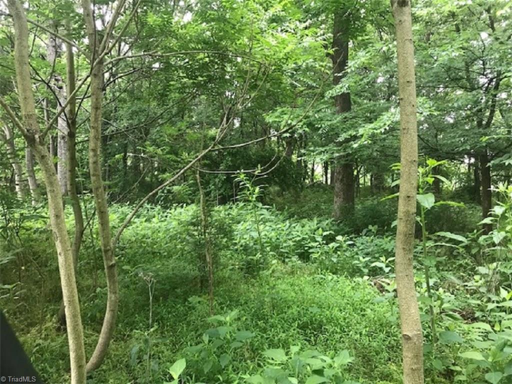 Lot 5 Mebane Oaks Road Mebane, NC 27302 - Photo 3 of 9 Gallery Image 3