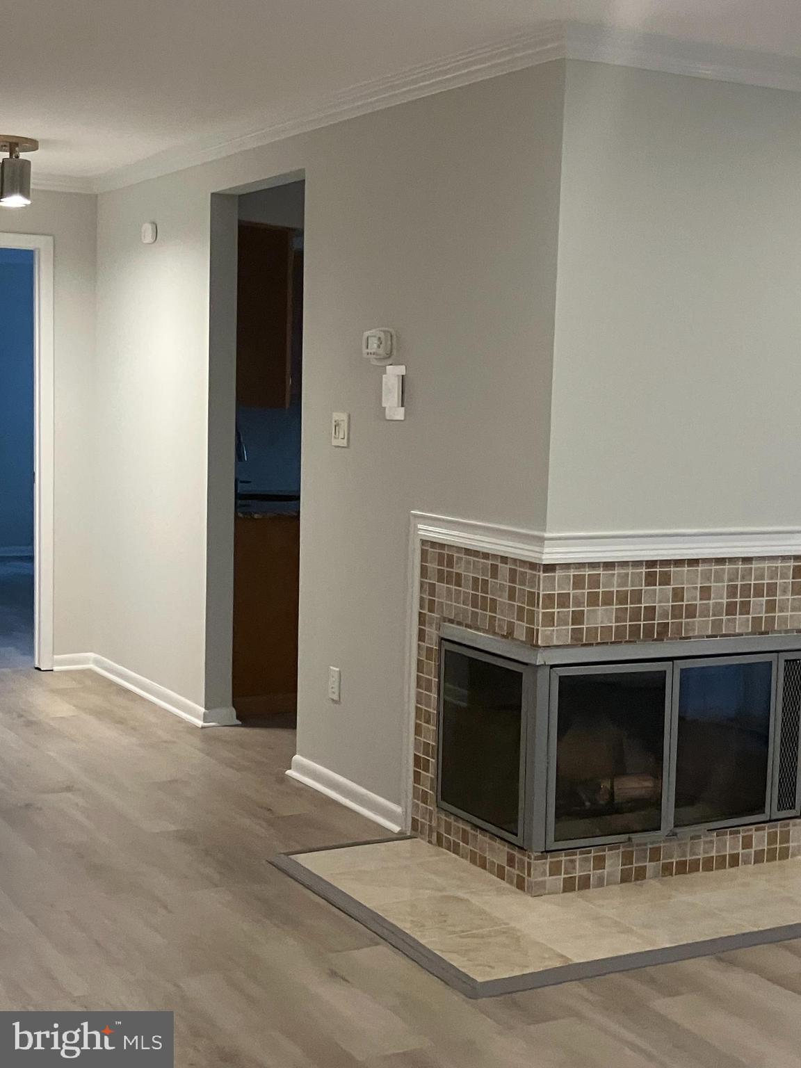 307 Trinity Court, Unit 4 Princeton, NJ 08540 - Photo 5 of 13 Fireplace